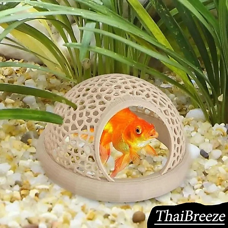 【ThaiBreeze】พิพิธภัณฑ์สัตว์น้ำกุ้งและปลาที่ซ่อนอยู่บ้านปลาสวยงามขนาดเล็กสถานที่พักผ่อนของปลา