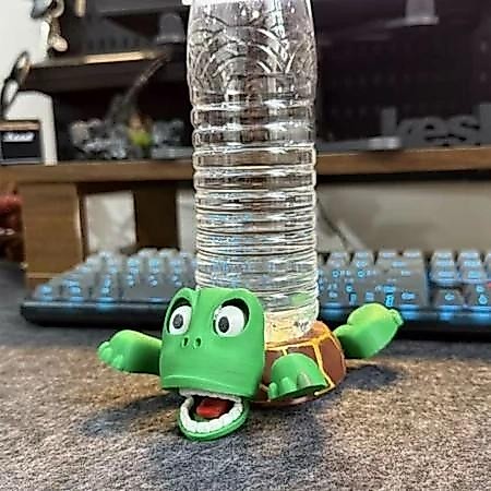 Turtle Gravity Coaster เริ่มต้นกดน้ํา Creative Expression Coasters ตลก