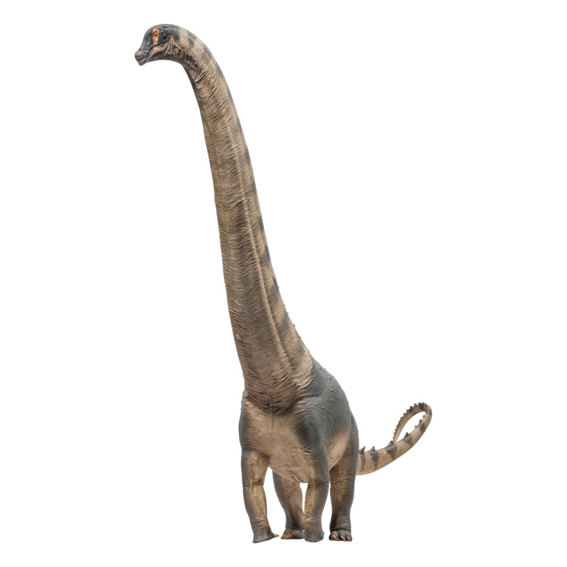 สินค้าใหม่ PNSO Alamosaurus Samuel Dinosaur King Growth ประกอบโมเดล 79 ของขวัญทํามือสําหรับเด็ก s