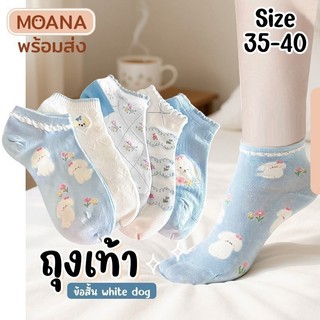 พร้อมส่ง : ถุงเท้า ข้อสั้น หมาน้อย ขาวฟ้า 5 คู่ น่ารัก ใส่ได้ทุกวัน เนื้อผ้านุ่ม แฟชั่น