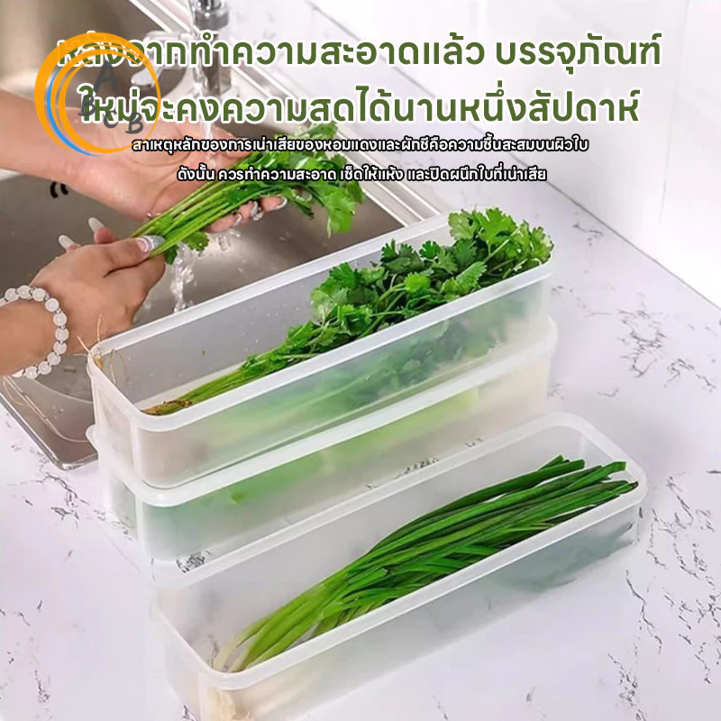 Fresh Boxกล่องเก็บผักผลไม้ กล่องมหัศจรรย์ ยืดอายุผักผลไม้ให้สดใหม่ เก็บได้นานขึ้น จัดตู้เย็นเป็นระเบียบ thumbnail 6
