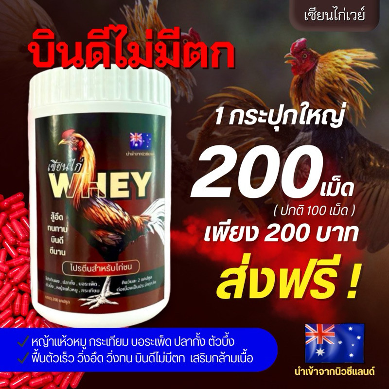 เวย์ไก่ เซียนไก่ แคปซูล โปรตีนบำรุงไก่ชน อาหารไก่ ปลากั้ง ตัวบึ้ง กระเทียม หญ้าแห้วหมู บอระเพ็ด whey
