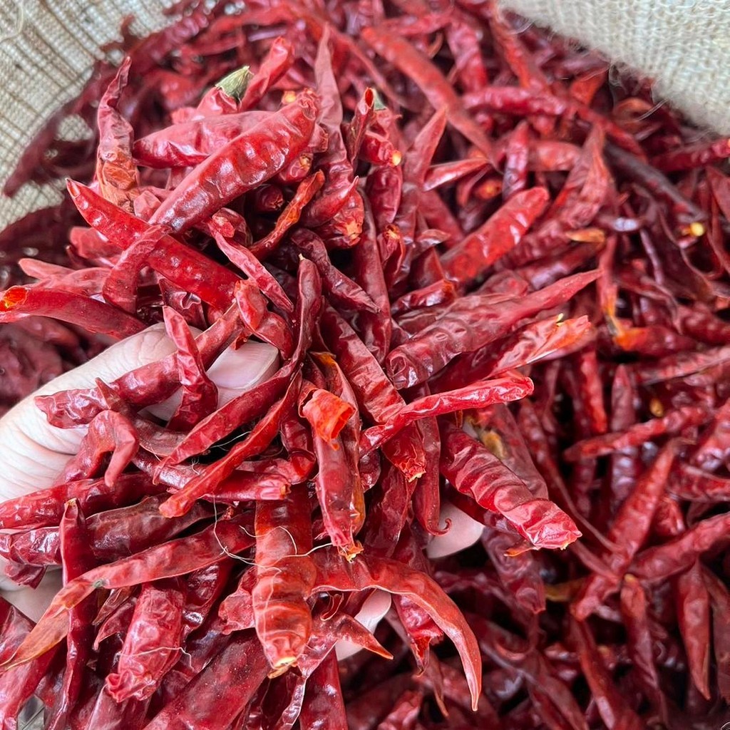 เด็ดแท้ (เด็ดแท้ยกกระสอบ) พริกแห้งจินดาอินเดียเด็ดยกกระสอบ 9-10 กิโลกรัม เผ็ดสุดในหมวดพริกจินดา