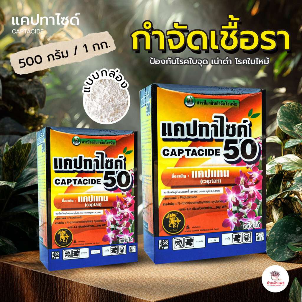 แบบกล่อง แคปทาไซด์ ยากำจัดเชื้อรา ( แคปเทน )