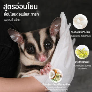 น้ำตาลน้ำผึ้งกระรอกและถุงมืออาบน้ำสัตว์ขนาดเล็ก (8ชิ้น)-ถุงมือเปียกถุงมือทำความสะอาดสัตว์เลี้ยงถุงมือดับกลิ่น