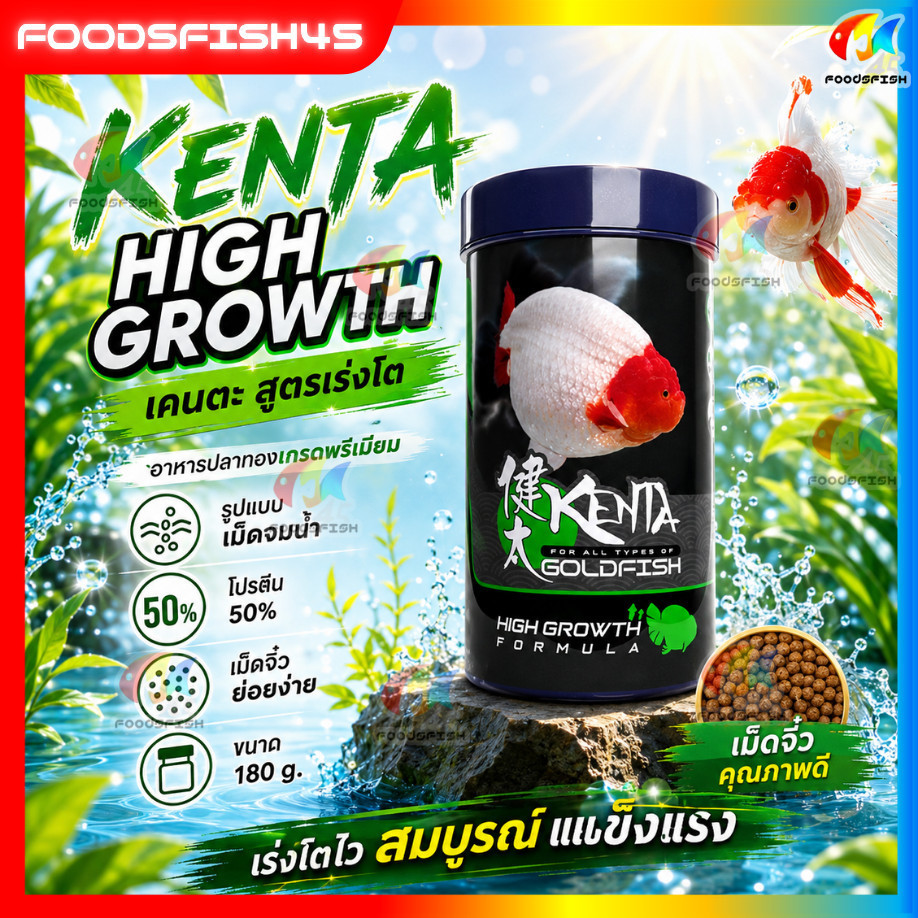 เม็ดจิ๋วย่อยง่าย ท้องไม่อืด🐠 อาหารปลาทองสูตรเร่งโต เม็ดจมน้ำ อาหารปลาทอง Kenta ขนาด 180g