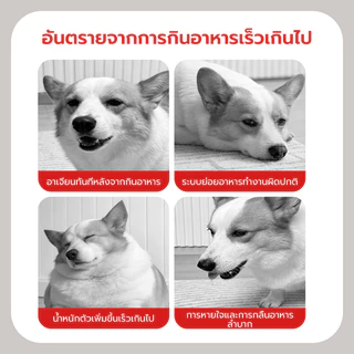 ชามอาหารสุนัข ชามชะลอการกิน Pet food bowl วัสดุสแตนเลส ไม่เป็นสนิม ฐานกันลื่น ขอบต่ำ กินสะดวก ช่วยชะลอการกิน