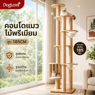 DogLemi】คอนโดแมว สูง185ซม. Cat Condo บ้านแมวไม้พรีเมียม เสาลับเล็บแมว หลุมนอนอะคริลิค 4 จุด คอนโดสัตว์เลี้ยง แมวตัวใหญ่ใ
