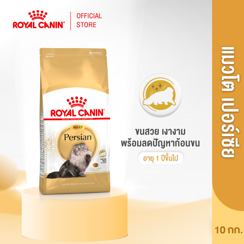 Royal Canin Persian Adult 10kg อาหารเม็ดแมวโต พันธุ์เปอร์เซียน อายุ 12 เดือนขึ้นไป (Dry Cat Food, โรยัล คานิน)