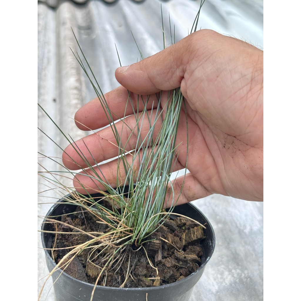 มุมมอง 2