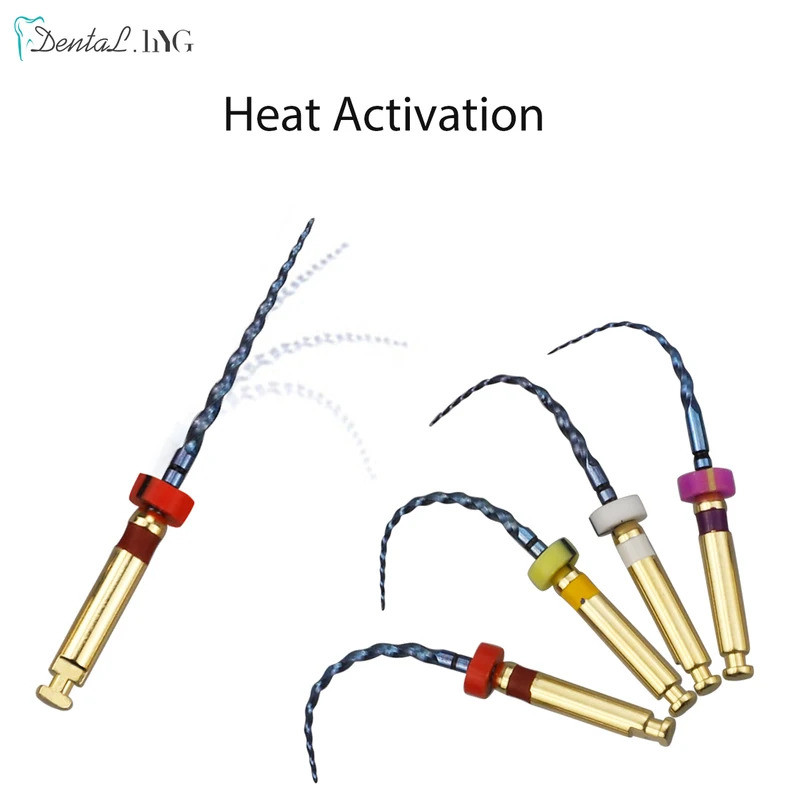 6 ชิ้น/กล่องทันตกรรมความร้อนเปิดใช้งาน Canal Root ไฟล์ SX-F3 21 มม.เครื่องมือทันตแพทย์สามารถ Bend สํ