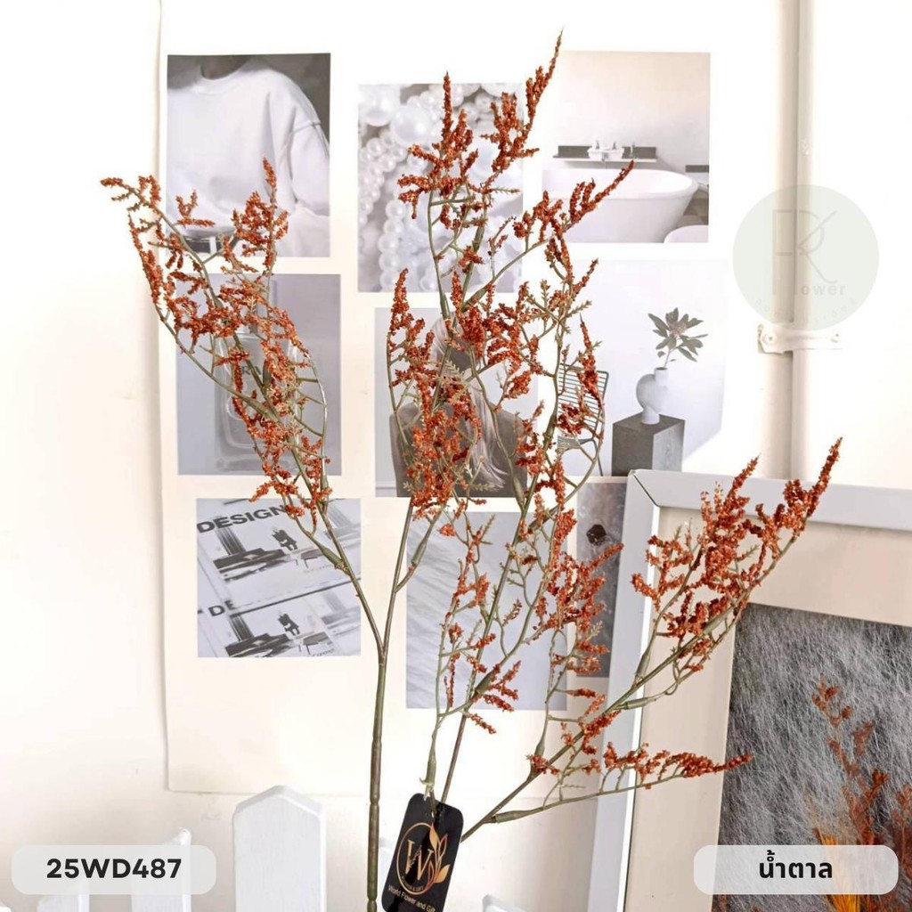 แคสเปียร์ก้านยาว 4 กิ่ง สูง 76 cm. - รูปที่ 6