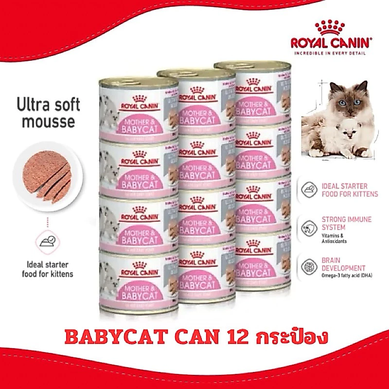 [เฉพาะส่งด่วน] Royal Canin BABYCAT CAN กระป๋อง 1 โหล สินค้าใหม่(12กระป๋อง)
