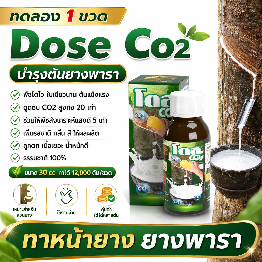 [ใหม่ของแท้] โดส CO2 สำหรับสวนยางพารา เทคโนโลยีปุ๋ยอากาศ ช่วยเสริมการเจริญเติบโต กระตุ้นการสร้างน้ำยาง