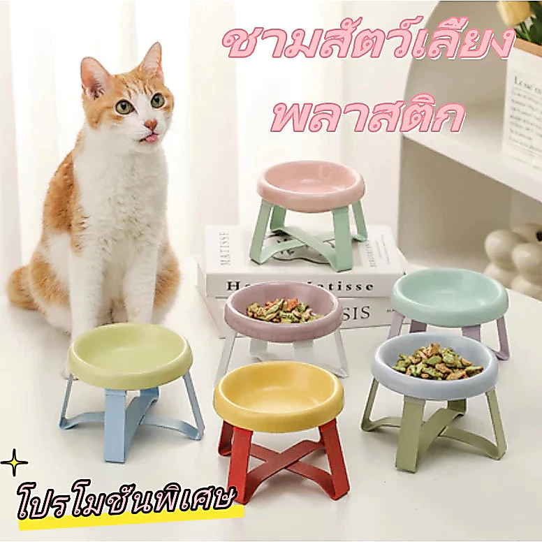 COZII ชามใส่อาหารสัตว์พร้อมขาตั้ง ช่วยป้องกันกระดูกสันหลัง ชามอาหารสัตว์ทรงสูง