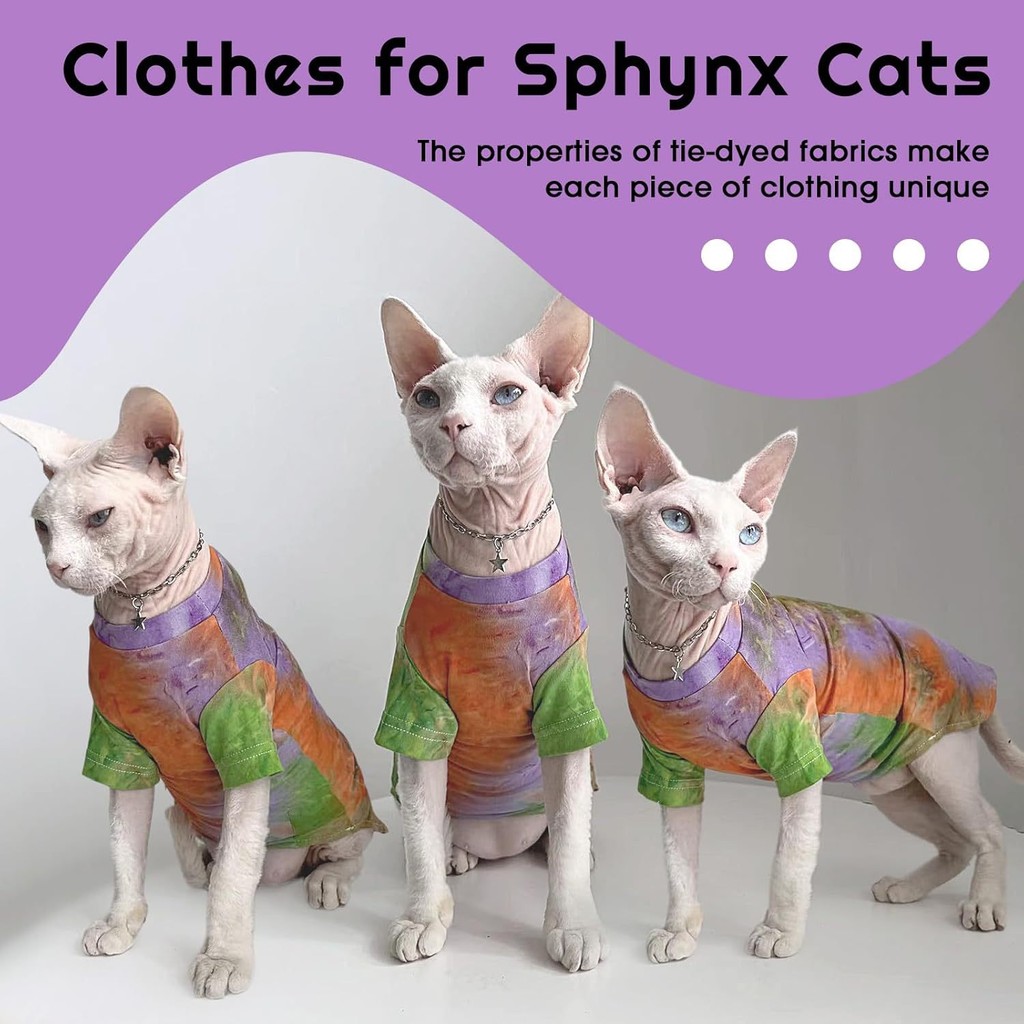 Furless Cat Rainbow พิมพ์เสื้อยืดเสื้อกั๊กแมวระบายอากาศเหมาะสําหรับ Sphinx Cat Cornwall ผมหยิกแมว