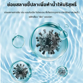 ปลาจะไม่ตายจุลินทรีย์น้ําใส Nitrifying Bacteria จุลินทรีย์ตู้ปลา ปรับสภาพน้ำใส ไม่มีสารเคมีปลอดภัย สลายขี้ปลา จุลินทรีย์