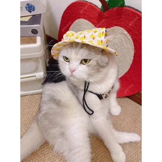 🇹🇭พร้อมส่ง🇹🇭 🐤 หมวกลายเป็ดน้อยสุดน่ารัก for pet หมวกสุนัข ชุดหมา ชุดแมว สัตว์เลี้ยง