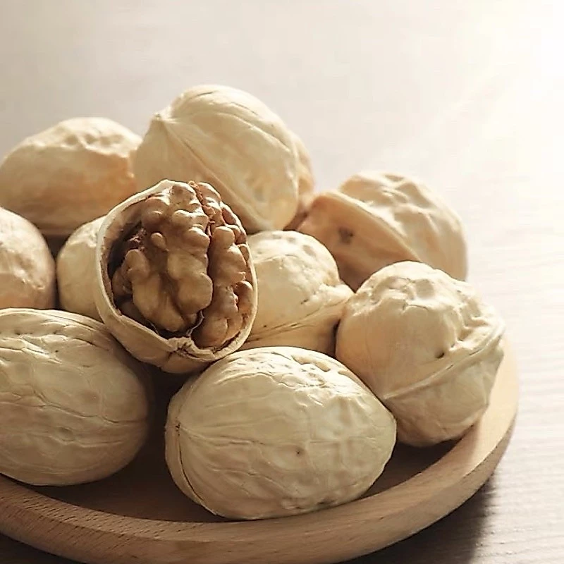ลูกวอลนัท walnut 1-6ลูก ขนมนกแก้ว ชูการ์ แฮมสเตอร์ กระรอก สัตว์เลี้ยงฟันแทะ