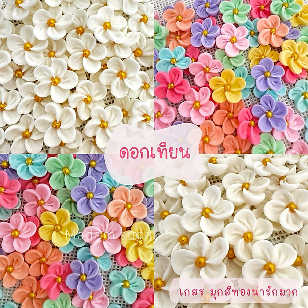 Madame Sugar: น้ำตาลกัมเพส "ดอกเดซี่ 4cm." : มาดามซูการ์
