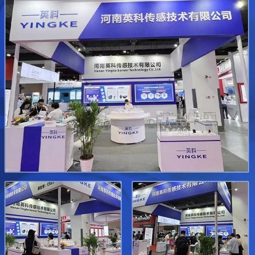 เซ็นเซอร์แก๊ส Inco 4.6