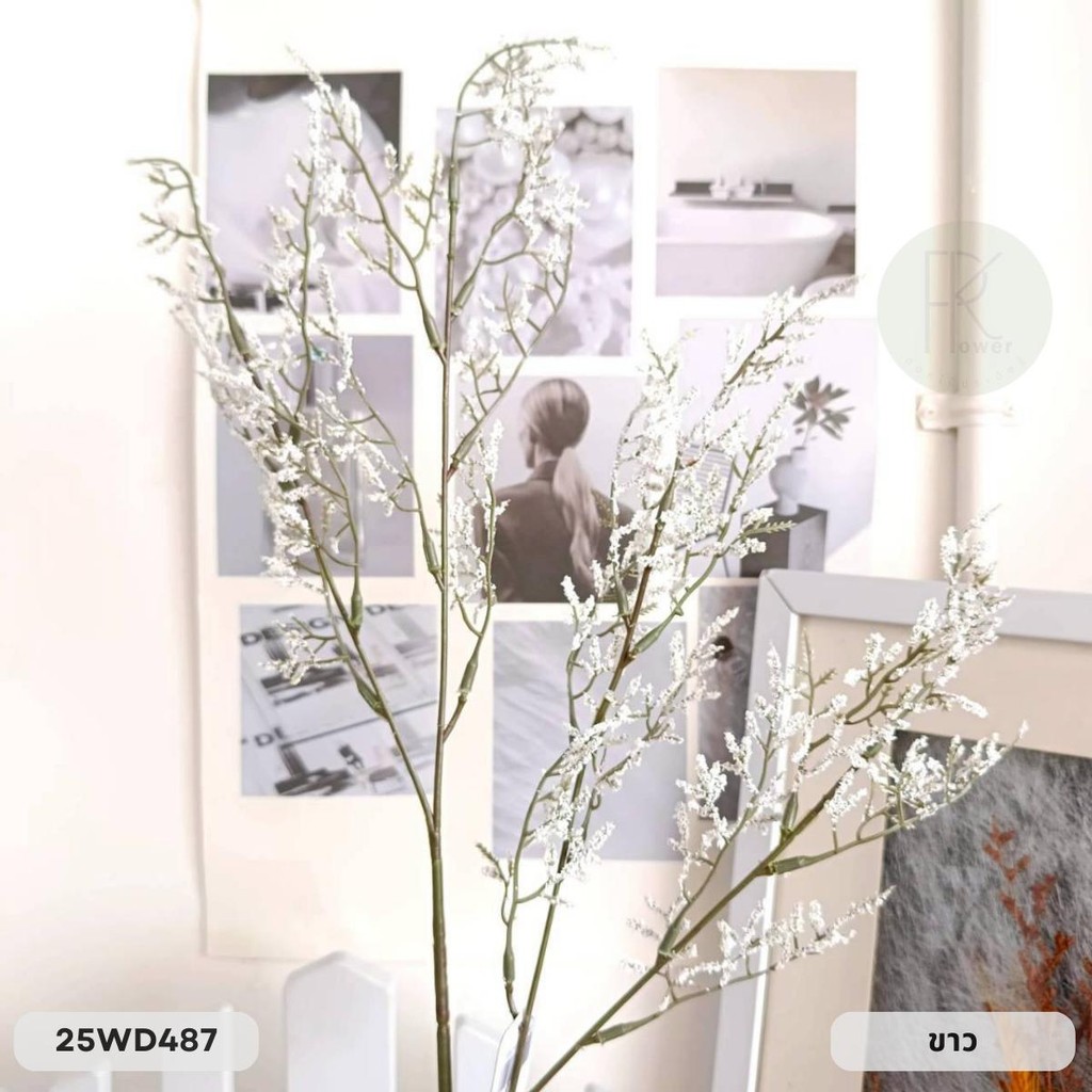 แคสเปียร์ก้านยาว 4 กิ่ง สูง 76 cm. - รูปที่ 4