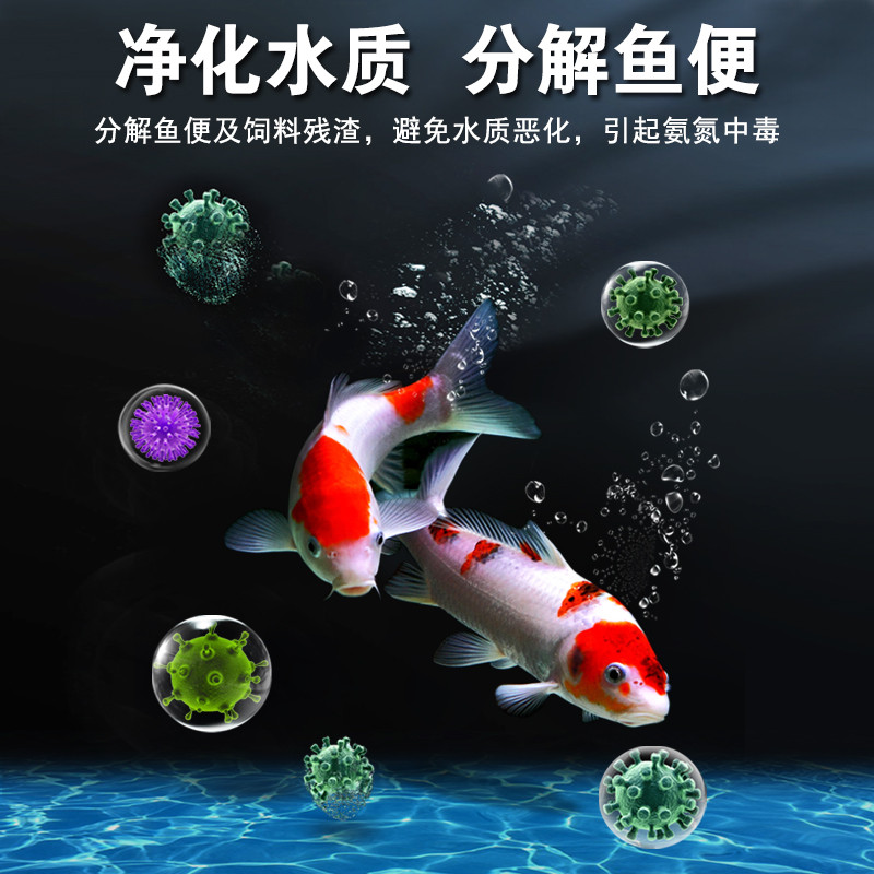 Nitrifying Bacteria Fish Tank เครื่องกรองน้ํา Active Digestive Bacteria Purify Water Clearing เฉพาะ 