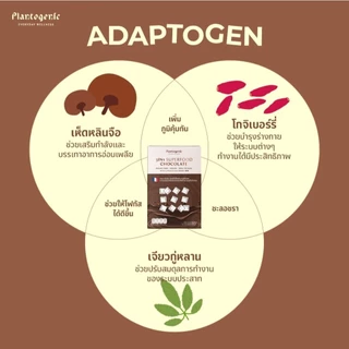 PLANTOGENIC - 3in1 Superfood Chocolate ช็อกโกแลตพร้อมชงจากฝรั่งเศส ไม่มีน้ำตาล (Plant-based)