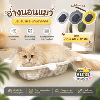Furntiure Protection กระเช้าแมว ทำความสะอาดง่าย ตะกร้าผัก ที่นอนแมว ระบายอากาศ ทนทานสบาย ที่นอนแมว