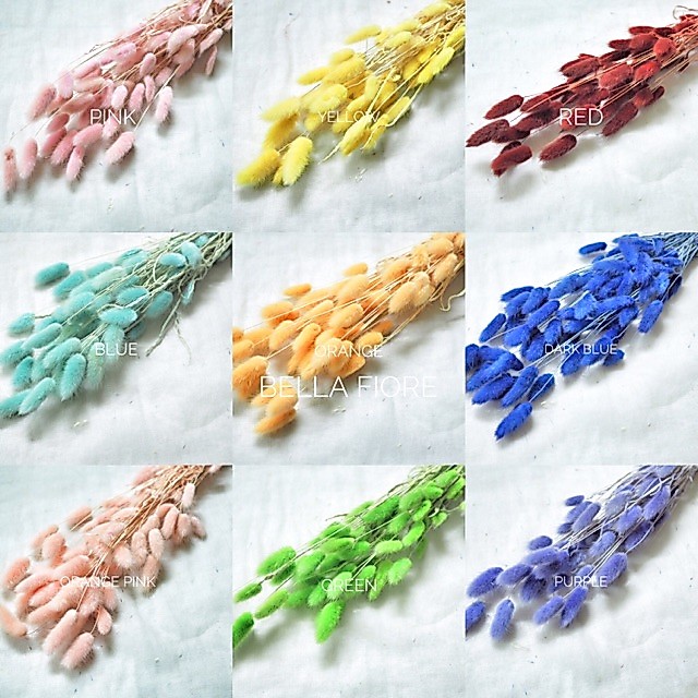ดอดไม้แห้ง หญ้าหางกระต่าย พร้อมส่งจาก กทม สีละ 1 กำละ 95 บาท