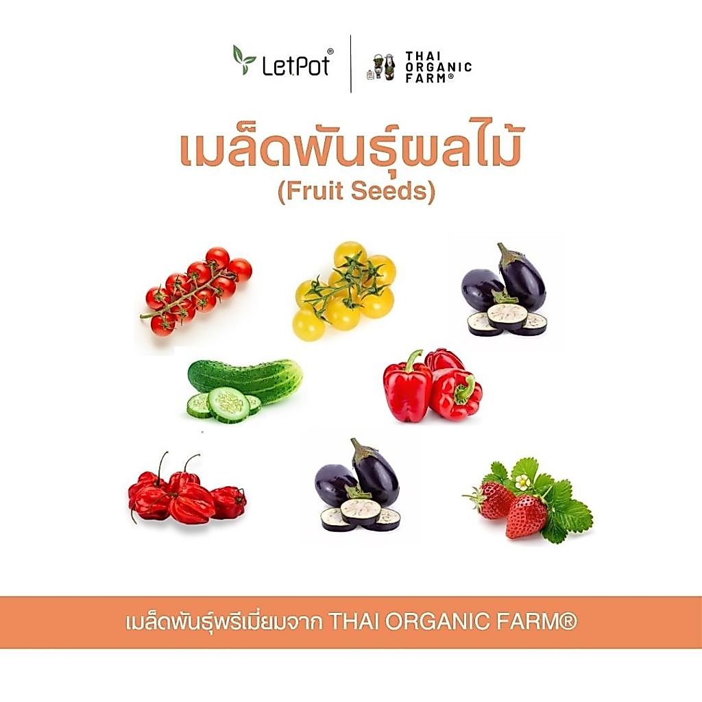 Premium Quality Seeds เมล็ดพันธุ์ผลไม้ Fruit Seeds พรีเมี่ยม THAI ORGANIC FARM®