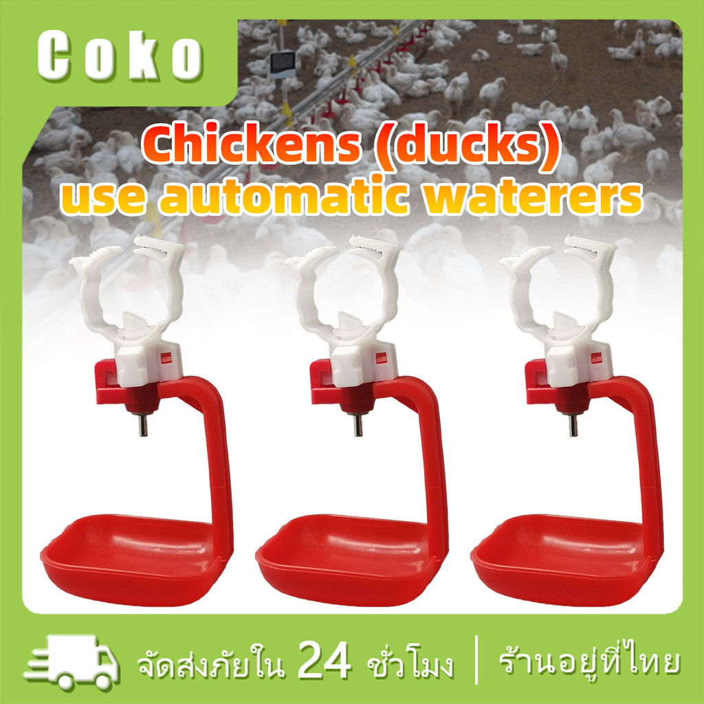 30ชุด นิปเปิ้ลให้น้ำไก่อัตโนมั แขวนถ้วยน้ำดื่ม ใช้กับท่อ6หุน นิปเปิ้ลให้น้ำนกกระทา อเนกประสงค์ – โปรปัง