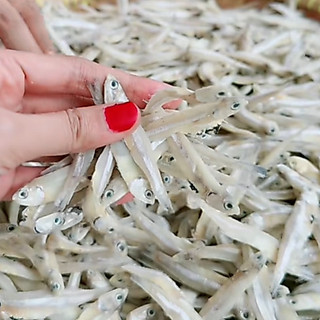 TERI JENGKI ASIN HARGA PROMO PREMIUM