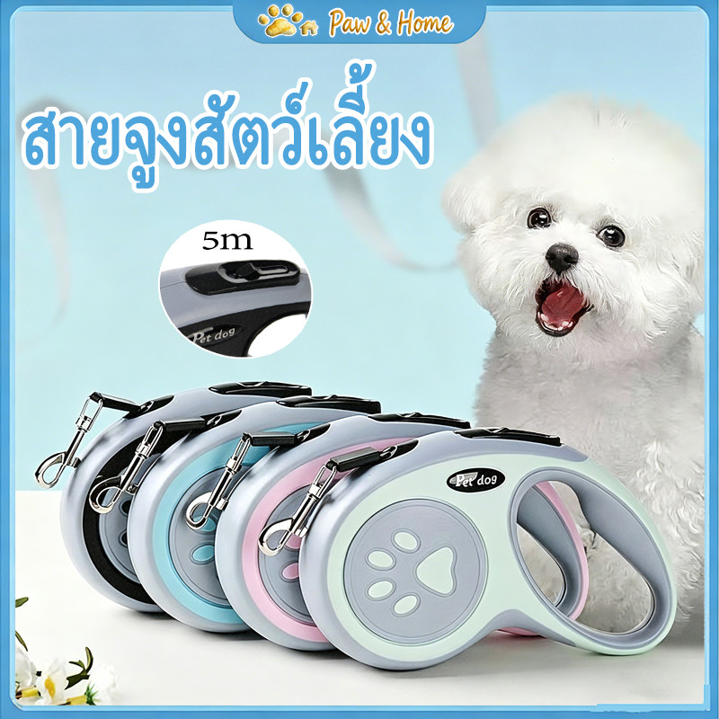COD สายจูงสุนัขอัตโนมัติ ป้องกันการวิ่งหนี แข็งแรงไม่ขาด สายเลื่อนลื่นไม่พันกัน ด้ามจับถนัดมือ สำหรับสุนัขเล็ก