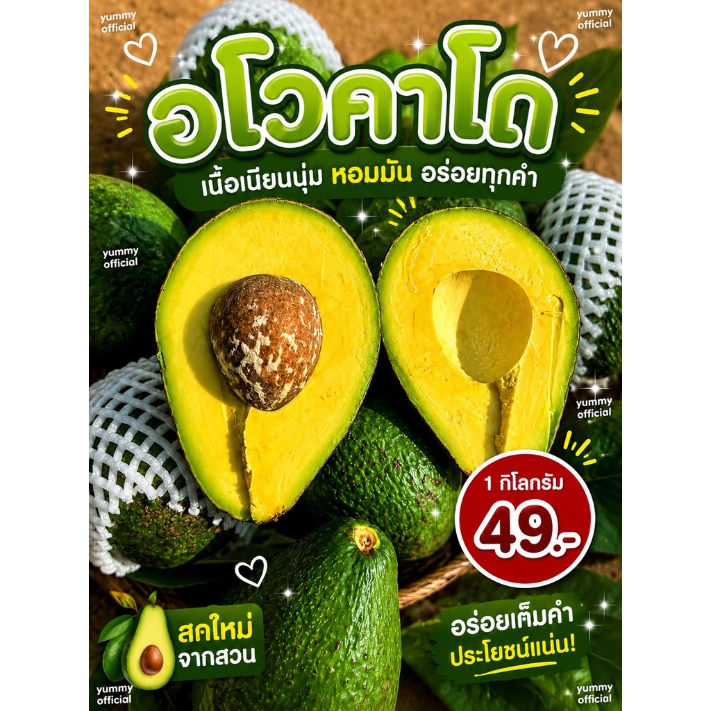 M จัดส่งฟรี Avocado อโวคาโด ขนาด 1 กิโลกรัมแก่จัด พันธุ์พื้นเมือง บัคคาเนีย แฮส ปีเตอร์สัน อโวคาโด้ อโวคาโด อะโวคาโด