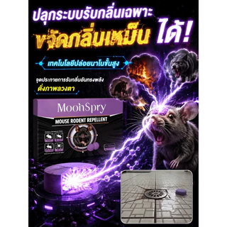 🎯สินค้าขายดี🎯 【กำจัดแมลง/หนู】 ลูกกลมไล่แมลงและสัตว์รบกวน ใช้งานง่าย วัสดุปลอดภัย ใช้ได้ทั้งในบ้านและสวน ประหยัดเวลา เห็นผลไว 🚨พร้อมส่ง🚨