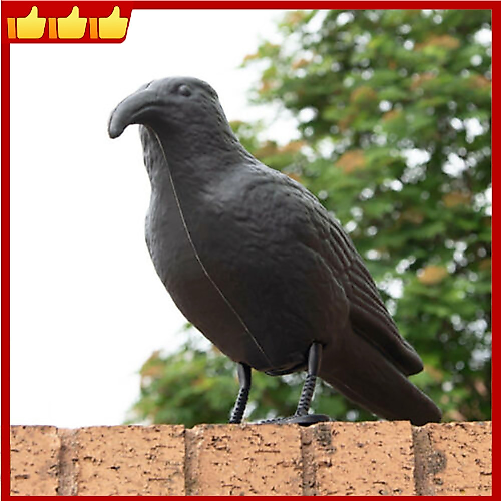 Pigeon Scarer Life Size Decoy Crow Pest Control Repellent Deterrent หุ่นไล่กา Courtyard ตกแต่งสวน