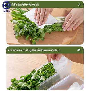 พร้อมส่ง กล่องเก็บผักผลไม้ กล่องมหัศจรรย์ ยืดอายุผักผลไม้ให้สดใหม่ เก็บได้นานขึ้น จัดตู้เย็นเป็นระเบียบ กล่องเก็บอาหาร