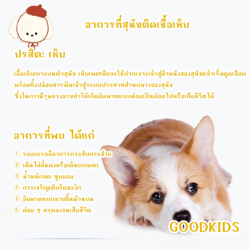 STOCK ปลอกคอกำจัดเห็บหมัด สำหรับสุนัขและแมว ปรับความยาวได้ ป้องกันแมลง夏ฤดูร้อน ราคา ถูกที่สุด ดีลบีเคเค แกลเลอรีภาพที่ 3