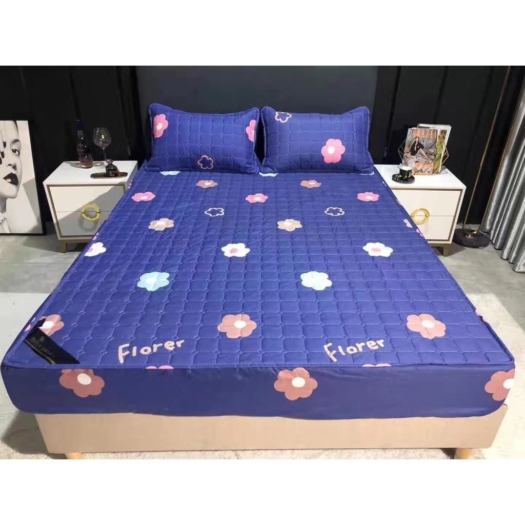 OP4 Cadar helton 3in1 ราคาถูก (JUST FOR AGENT)