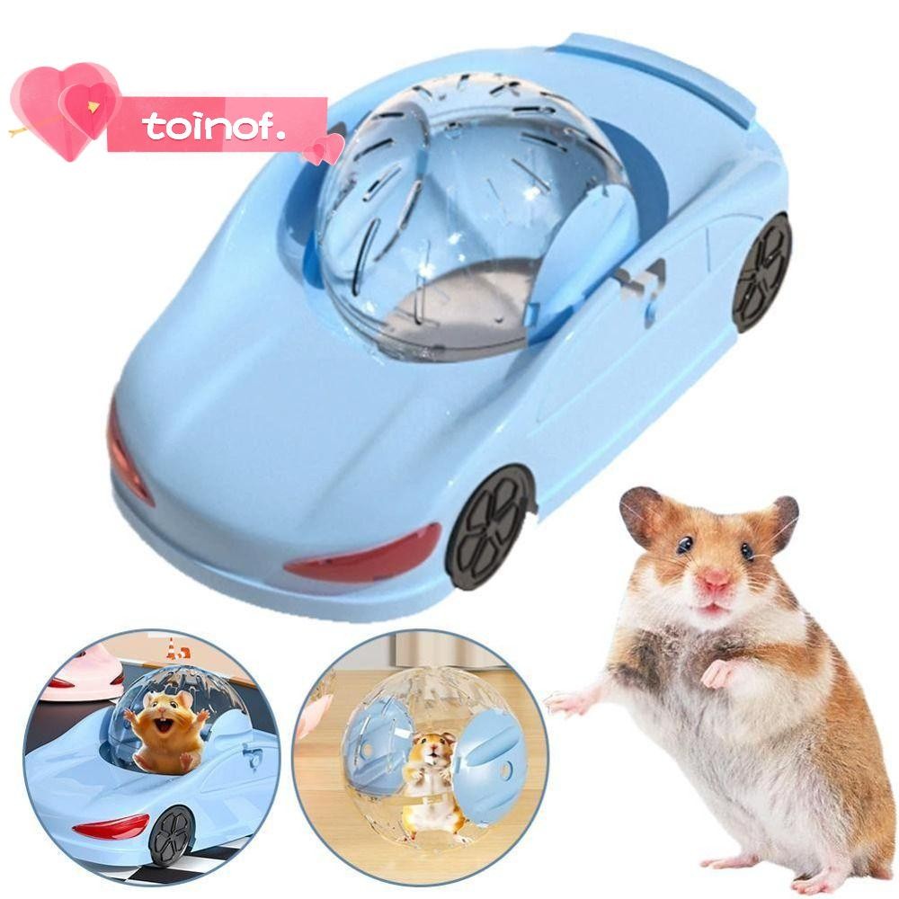 TOINOF Ferret Running Ball, Plastic Transparent Hamster Sport Ball, ล้อออกกําลังกายหนูแฮมสเตอร์ตลกขน