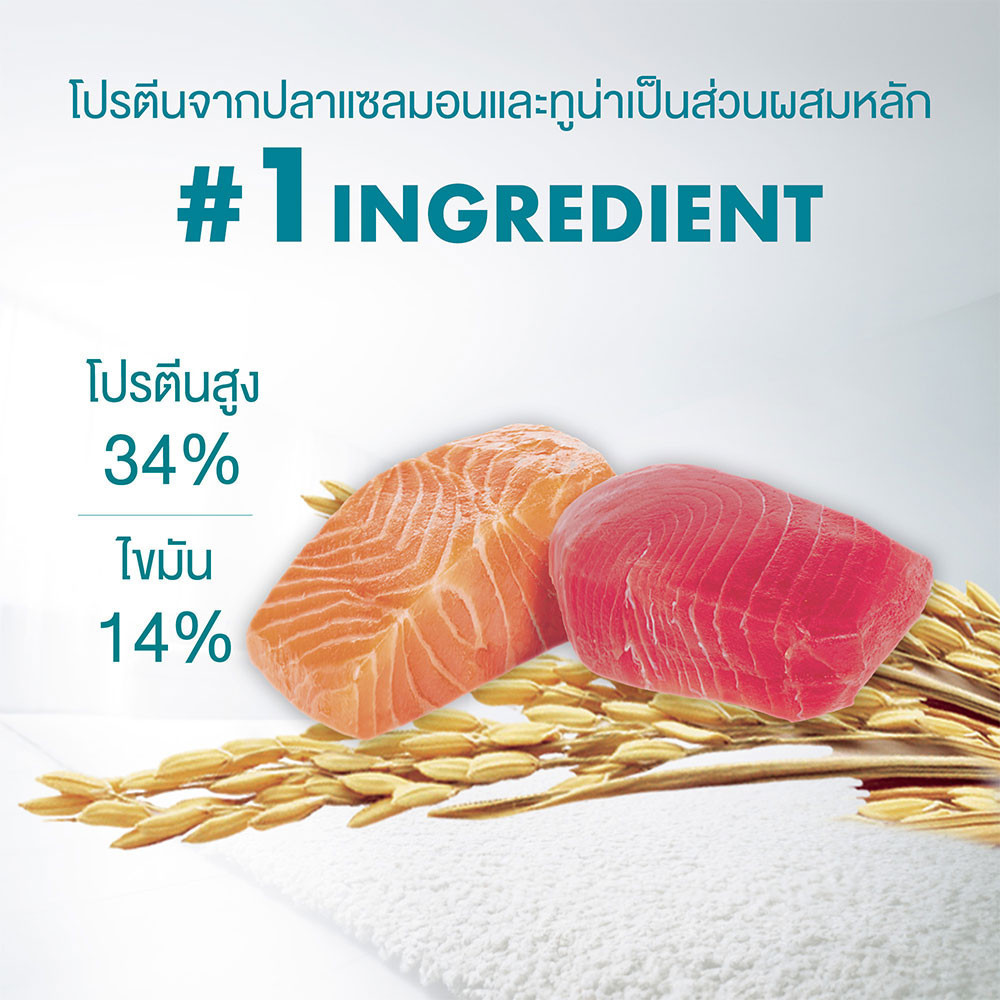 [อยู่ระหว่างปรับเปลี่ยนสูตร อาจได้รับทั้งสูตรเก่าและสูตรใหม่][เลือกรสชาติได้] Purina One อาหารแมว 1.2 กก. - ภาพย่อย 3