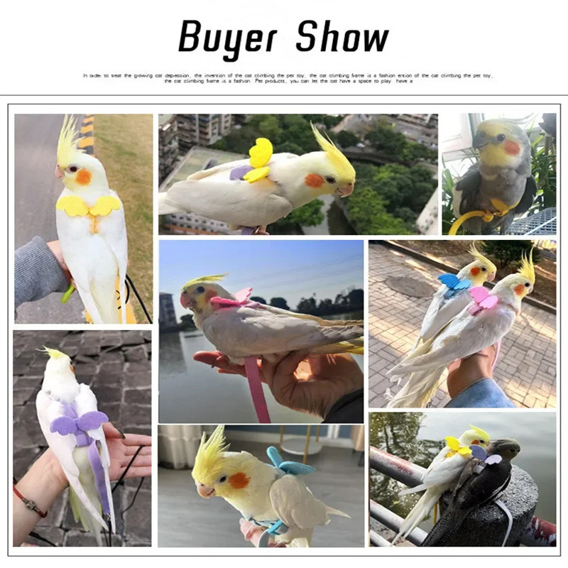 เสื้อผ้าอ้อมขนาดกลางขนาดกลางสําหรับนกแก้ว ชุดผ้าอ้อมขนาดใหญ่สําหรับนกแก้วนกพิราบสำหรับนกทุกสายพันธุ์ - รูปที่ 7