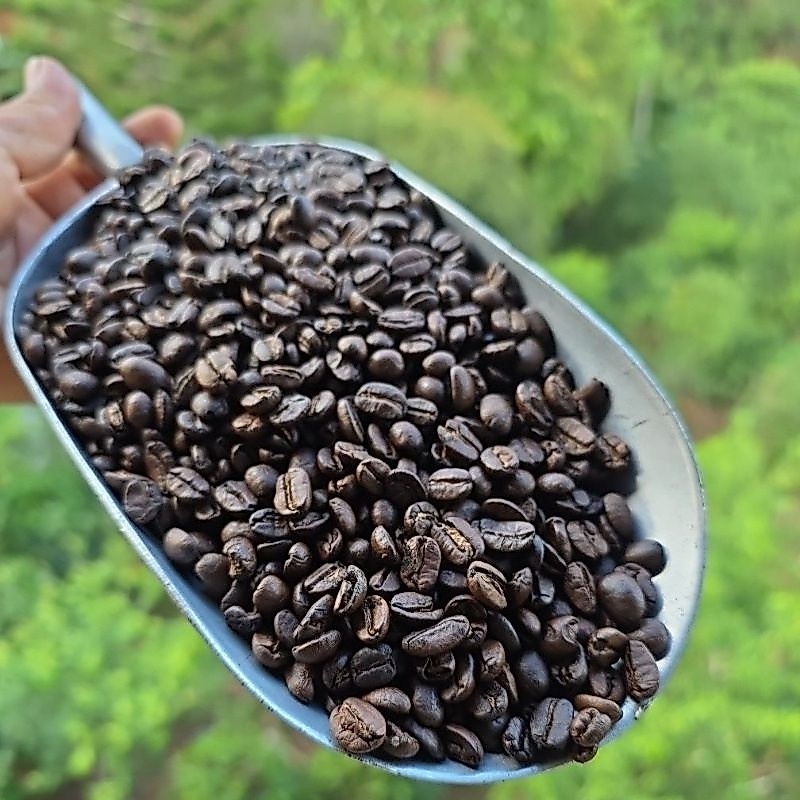 กาแฟคั่วอาราบีก้าผาฮี้100%หอมเข้มข้น บรรจุถุงละ1โลมี2ระดับการ1คั่วกลาง 2คั่วเข้ม มีเมล็ดแตกหักปนนิดหน่อย เหมาะกับร้านค้า