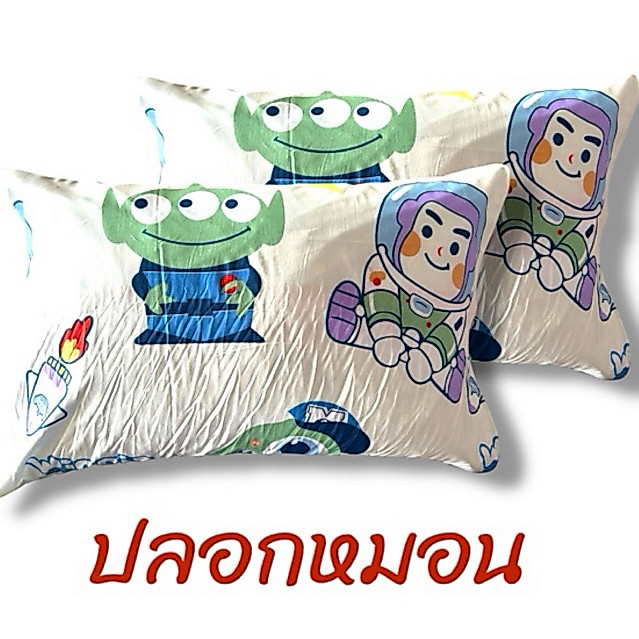 ปลอกหมอน 2ใบ 😴🫨🤤 พร้อมส่ง❤️📌