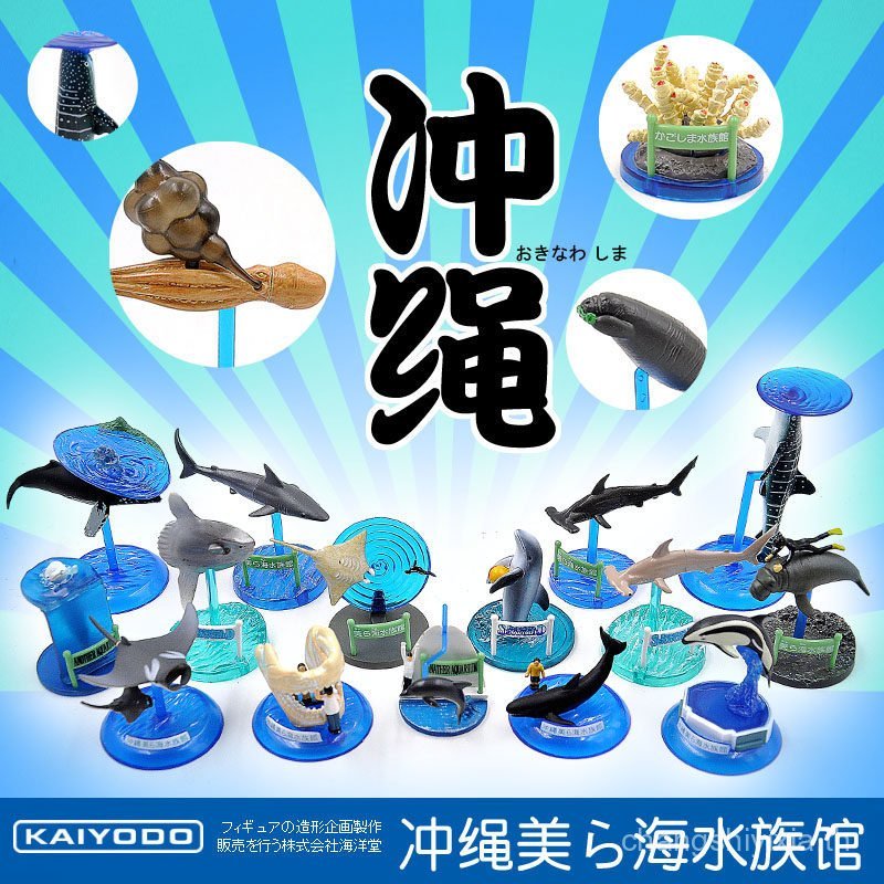 Ocean Hall Okinawa Meihai Aquarium Okinawa Japanese Hall World Museum Ocean จําลองสัตว์ตกแต่งรุ่น CV