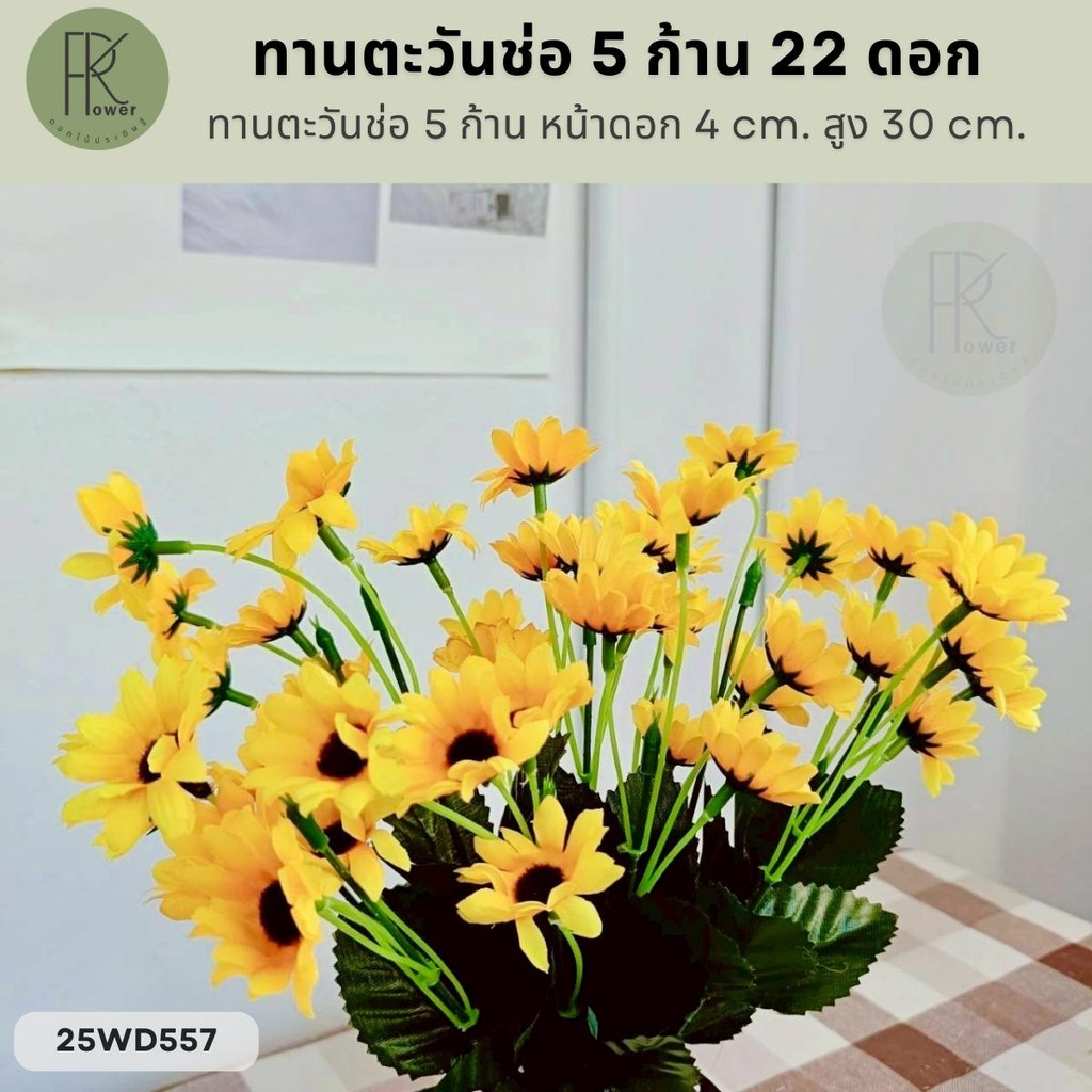 ทานตะวันช่อ 5 ก้าน 22 ดอก หน้าดอก 4 cm. สูง 30 cm.