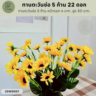 ทานตะวันช่อ 5 ก้าน 22 ดอก  หน้าดอก 4 cm. สูง 30 cm.