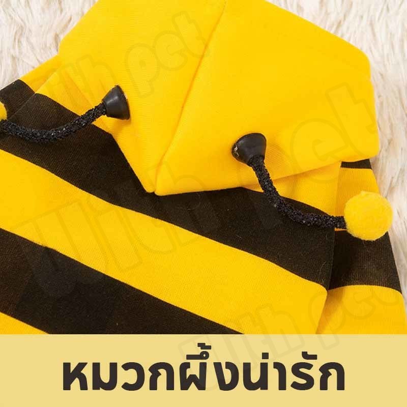 รูปภาพ 8