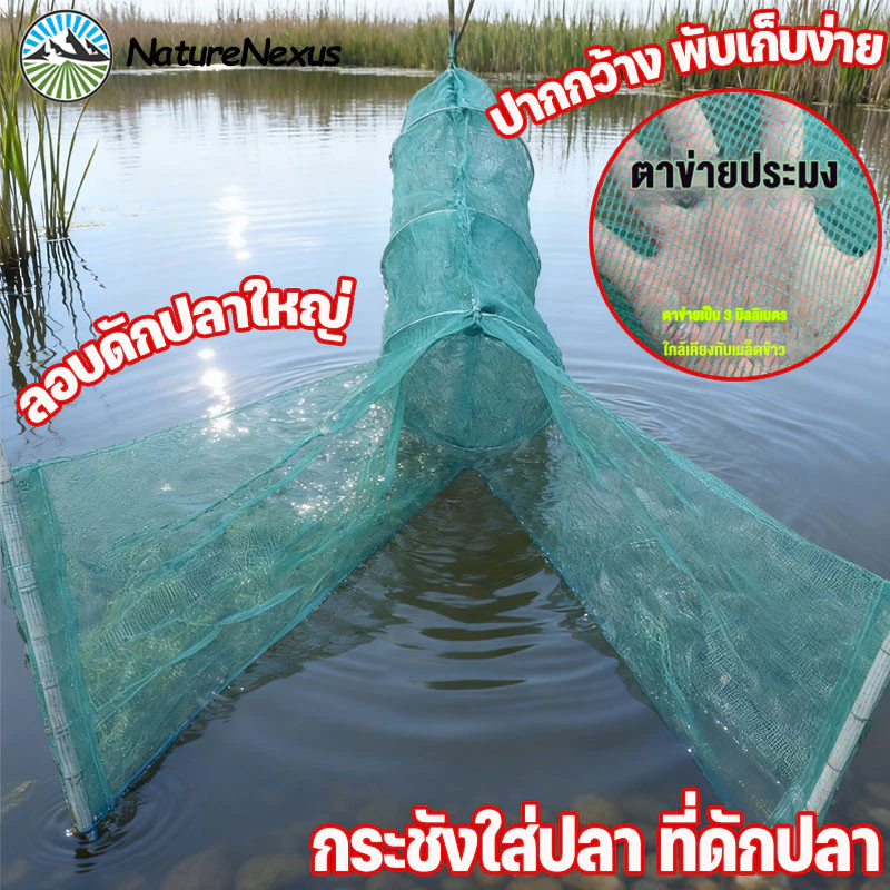 ดักปลา ลอบดักปลาใหญ่ ที่ดักกุ้งฝอย ปลาเข้าง่าย โต่ง พับเก็บง่าย เหมาะสำหรับส่วนแม่น้ำที่เชี่ยว